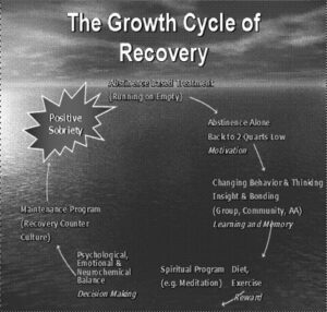 Positive Sobriety: Psychosocial Treatment, Software Interventions, Part 1 2 Psychosocial treatment