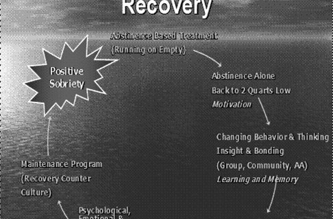 Positive Sobriety: Psychosocial Treatment, Software Interventions, Part 2: Individualized Treatment Planning and Individual Therapy 1 PSI Growth Recovery Cycle