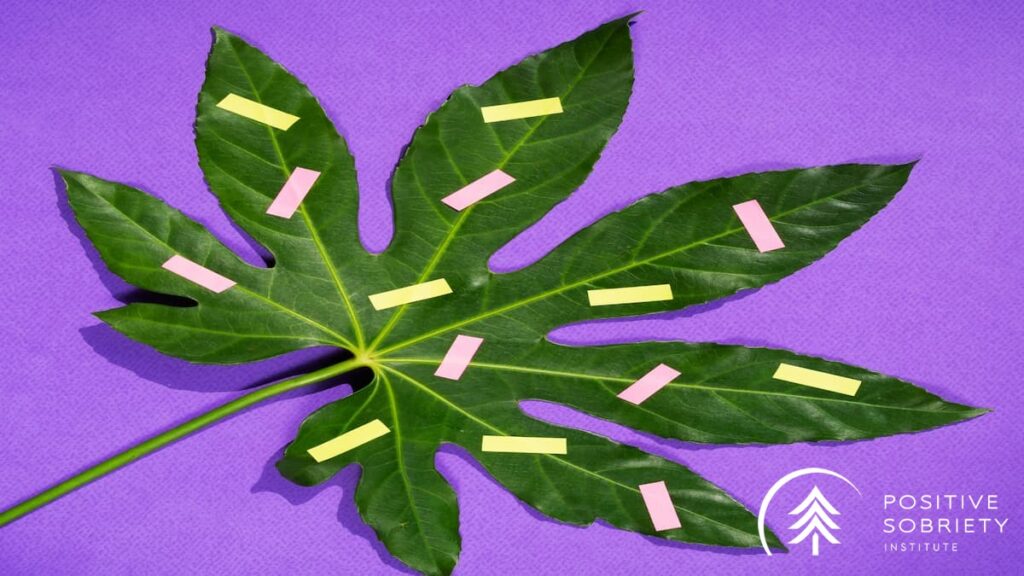 The Warning Signs That Recreational Use Become Drug Abuse 3 2148325780 1 1 ink