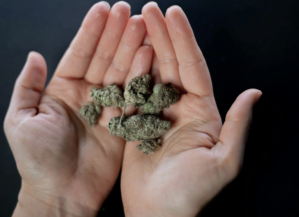 Marijuana Use Disorder Treatment in Chicago: Professional-Focused Recovery 3 Screenshot 2026 03 26 at 16.00.32
